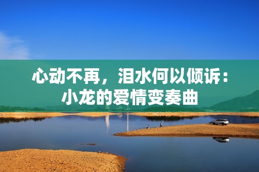 心动不再，泪水何以倾诉：小龙的爱情变奏曲