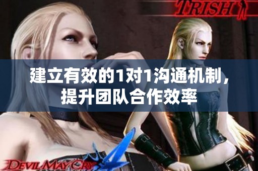 建立有效的1对1沟通机制，提升团队合作效率