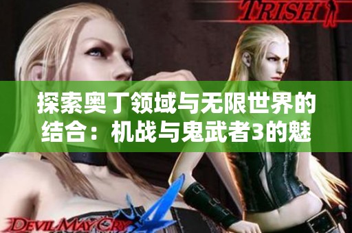 探索奥丁领域与无限世界的结合：机战与鬼武者3的魅力之旅