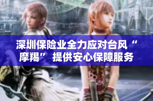 深圳保险业全力应对台风“摩羯” 提供安心保障服务