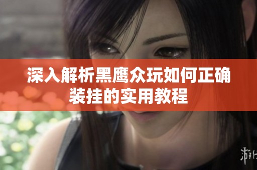 深入解析黑鹰众玩如何正确装挂的实用教程