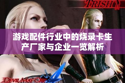 游戏配件行业中的烧录卡生产厂家与企业一览解析