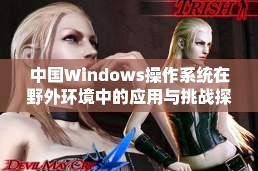 中国Windows操作系统在野外环境中的应用与挑战探索