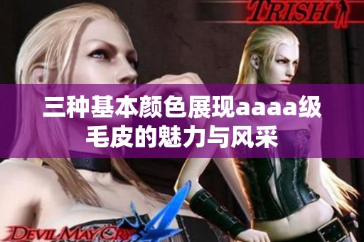 三种基本颜色展现aaaa级毛皮的魅力与风采