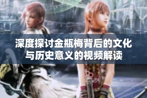 深度探讨金瓶梅背后的文化与历史意义的视频解读