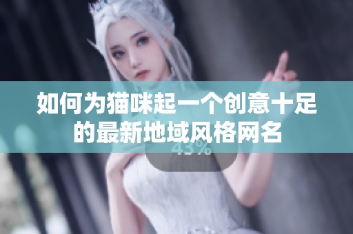如何为猫咪起一个创意十足的最新地域风格网名
