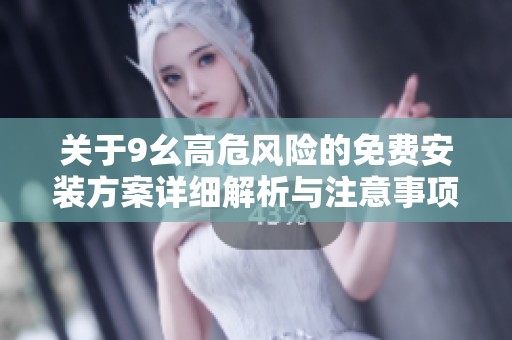 关于9幺高危风险的免费安装方案详细解析与注意事项