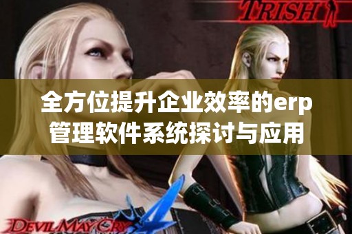 全方位提升企业效率的erp管理软件系统探讨与应用