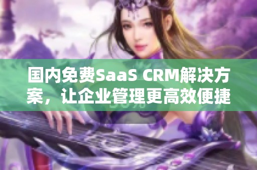 国内免费SaaS CRM解决方案，让企业管理更高效便捷