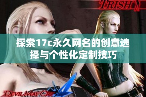 探索17c永久网名的创意选择与个性化定制技巧