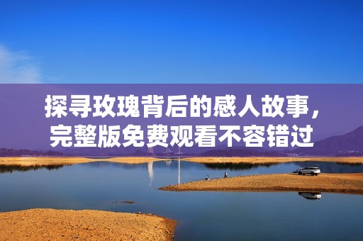 探寻玫瑰背后的感人故事，完整版免费观看不容错过