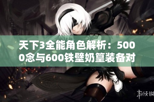 天下3全能角色解析：5000念与600铁壁奶篁装备对比