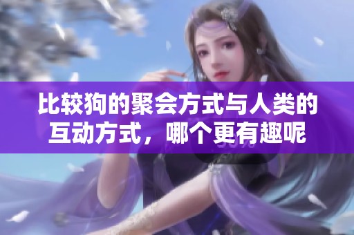 比较狗的聚会方式与人类的互动方式，哪个更有趣呢