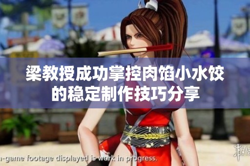 梁教授成功掌控肉馅小水饺的稳定制作技巧分享