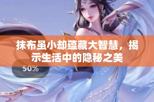 抹布虽小却蕴藏大智慧，揭示生活中的隐秘之美