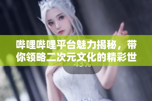 哔哩哔哩平台魅力揭秘，带你领略二次元文化的精彩世界