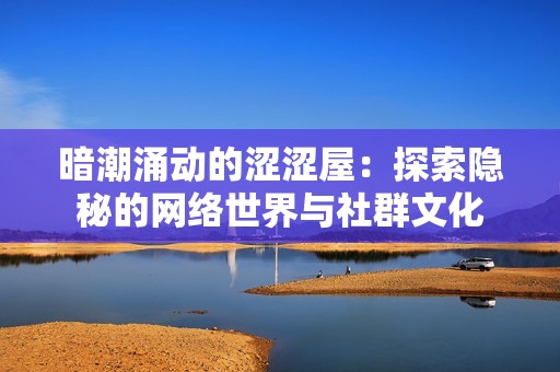 暗潮涌动的涩涩屋：探索隐秘的网络世界与社群文化