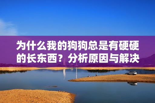 为什么我的狗狗总是有硬硬的长东西？分析原因与解决办法