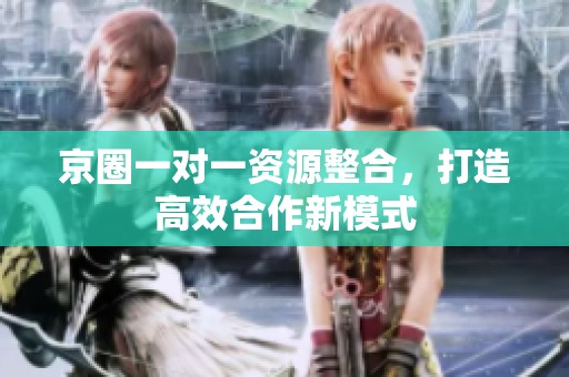 京圈一对一资源整合，打造高效合作新模式