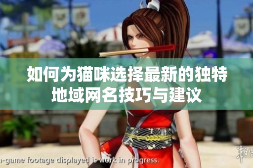 如何为猫咪选择最新的独特地域网名技巧与建议