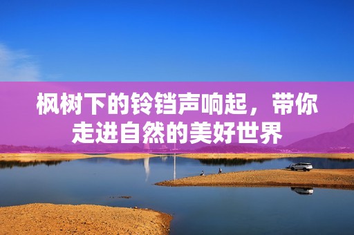 枫树下的铃铛声响起，带你走进自然的美好世界