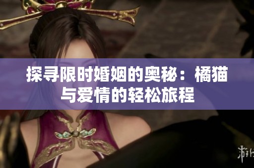 探寻限时婚姻的奥秘：橘猫与爱情的轻松旅程
