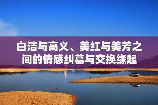 白洁与高义、美红与美芳之间的情感纠葛与交换缘起