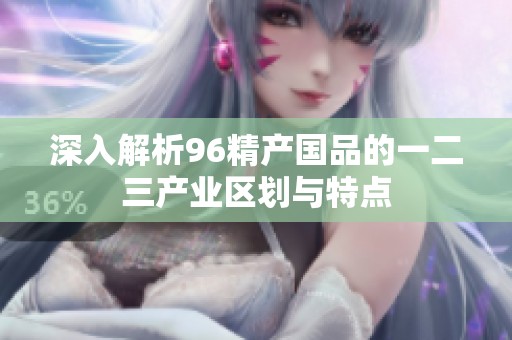 深入解析96精产国品的一二三产业区划与特点
