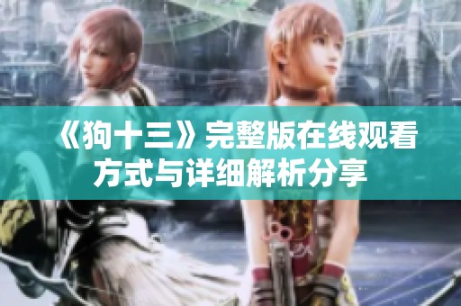 《狗十三》完整版在线观看方式与详细解析分享