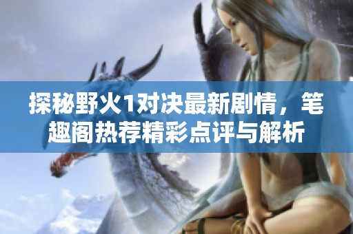 探秘野火1对决最新剧情，笔趣阁热荐精彩点评与解析