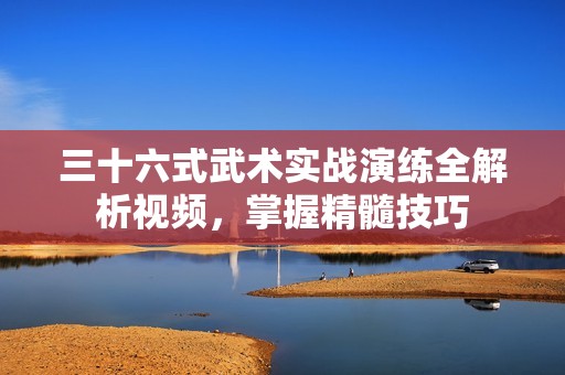 三十六式武术实战演练全解析视频，掌握精髓技巧
