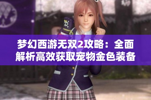 梦幻西游无双2攻略：全面解析高效获取宠物金色装备的策略秘诀