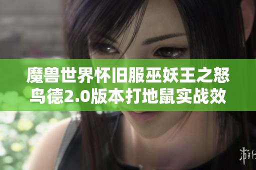 魔兽世界怀旧服巫妖王之怒鸟德2.0版本打地鼠实战效果解析与展现