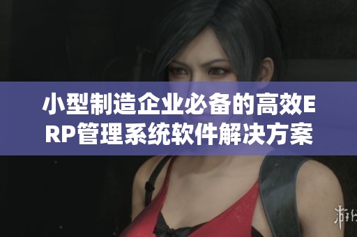 小型制造企业必备的高效ERP管理系统软件解决方案