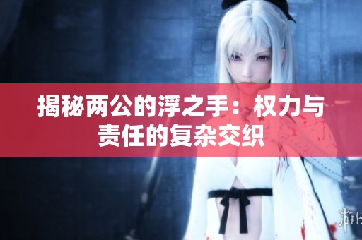揭秘两公的浮之手：权力与责任的复杂交织