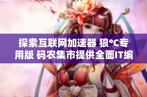探索互联网加速器 狼℃专用版 码农集市提供全面IT编程学习资源