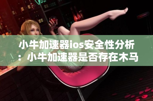 小牛加速器ios安全性分析：小牛加速器是否存在木马风险？