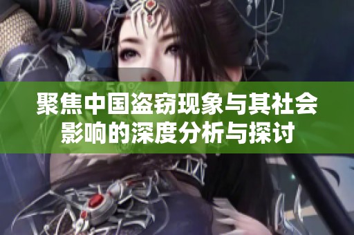 聚焦中国盗窃现象与其社会影响的深度分析与探讨