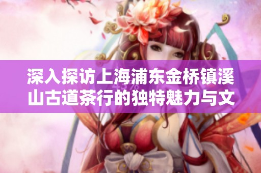 深入探访上海浦东金桥镇溪山古道茶行的独特魅力与文化底蕴