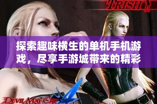 探索趣味横生的单机手机游戏，尽享手游城带来的精彩体验！