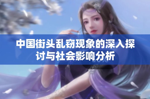 中国街头乱窃现象的深入探讨与社会影响分析