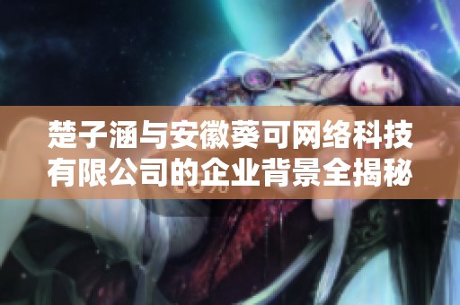 楚子涵与安徽葵可网络科技有限公司的企业背景全揭秘
