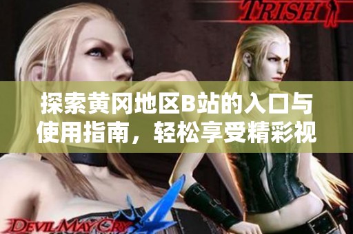探索黄冈地区B站的入口与使用指南，轻松享受精彩视频内容