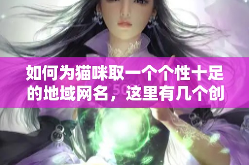 如何为猫咪取一个个性十足的地域网名，这里有几个创意灵感分享