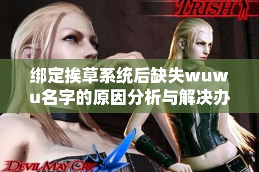 绑定挨草系统后缺失wuwu名字的原因分析与解决办法探讨