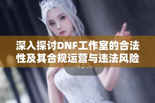 深入探讨DNF工作室的合法性及其合规运营与违法风险之道