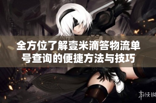 全方位了解壹米滴答物流单号查询的便捷方法与技巧