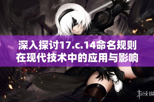 深入探讨17.c.14命名规则在现代技术中的应用与影响分析