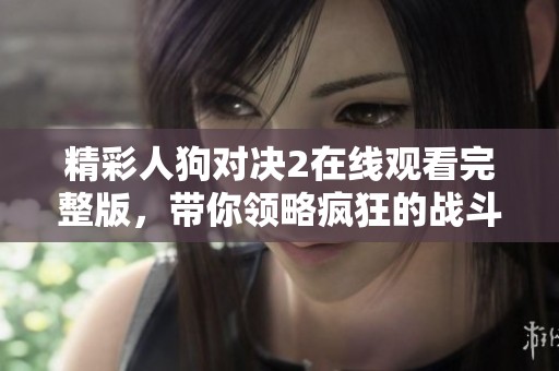 精彩人狗对决2在线观看完整版，带你领略疯狂的战斗魅力