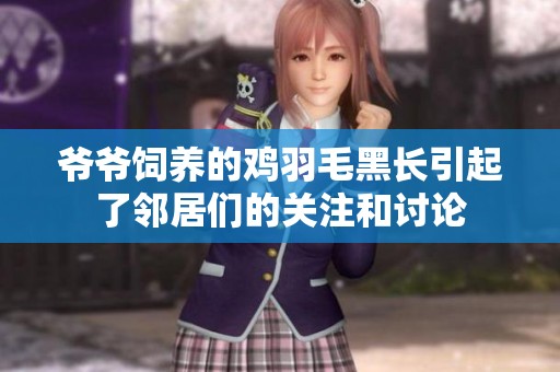 爷爷饲养的鸡羽毛黑长引起了邻居们的关注和讨论